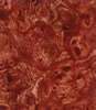 True burl wood (red) semi transparent 1M Hydrographics Film