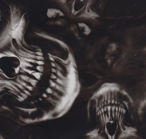 Hades Skulls Large Hydrographics Film water transfer printing