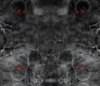 Red Eye Skulls OZ Hydrographics Exclusive pattern